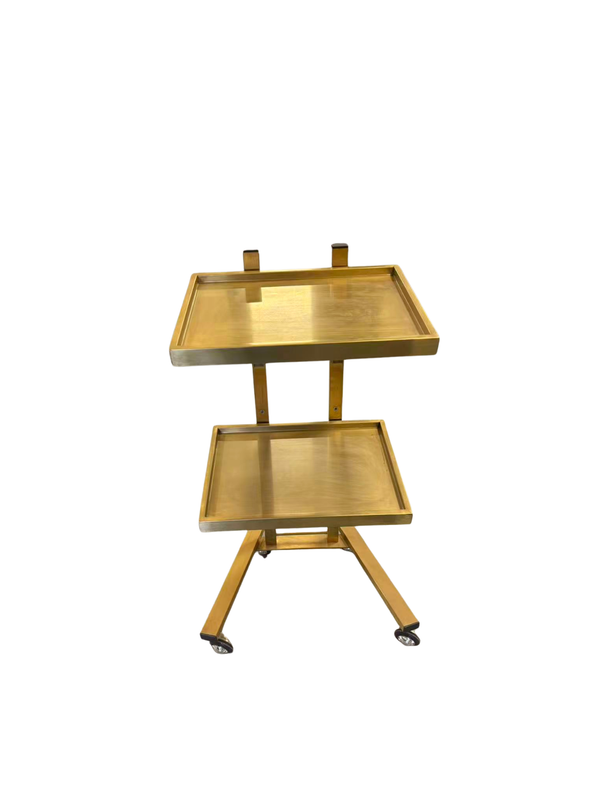 Trina Trolley