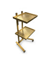 Trina Trolley