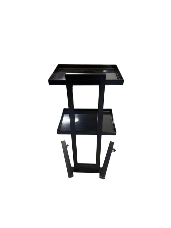 Trina Trolley